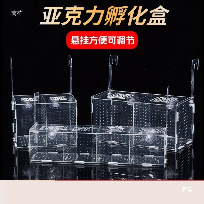 亚克力加厚大号独立隔离盒大鱼虎鱼龙鱼幼鱼繁殖盒乌龟苗鱼缸