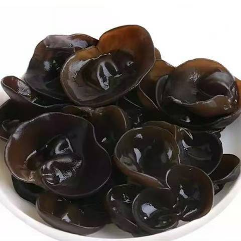 Dried Black Fungus Wood Ear Mushroom Hei Mu Er Auricularia auricula Thick Meaty Slices 500g for Home Cooking in use