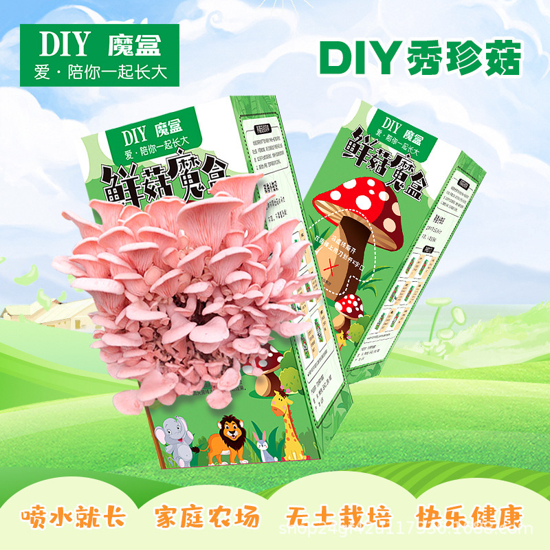 Mushroom Box DIY Mushroom Bag Oyster Mushroom Strain Edible Mushroom Home Planting Kidsren's Gift Elf Mushroom Bag