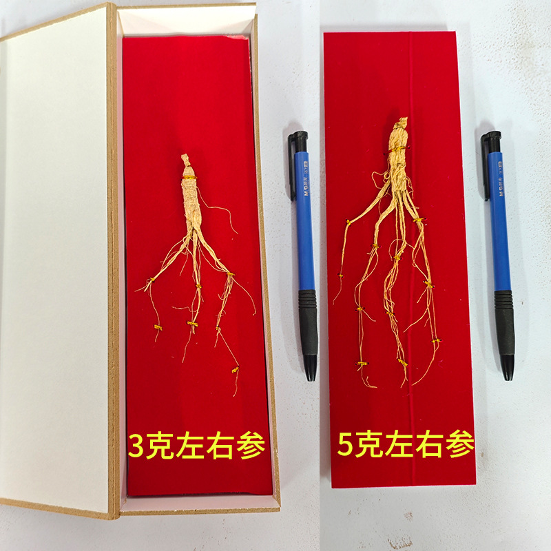 Changbai Mountain Ginseng Whole Root Dried Gift Box 3g Per Root overview