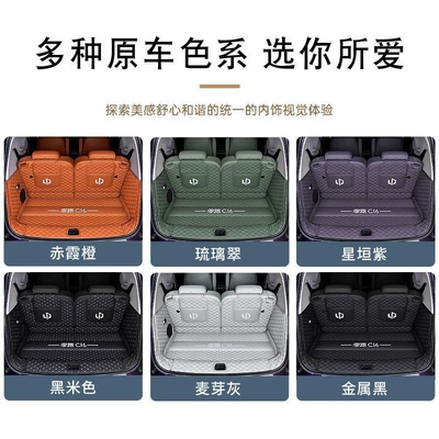 enclosed trunk mat, pure electric — Trunk Mat