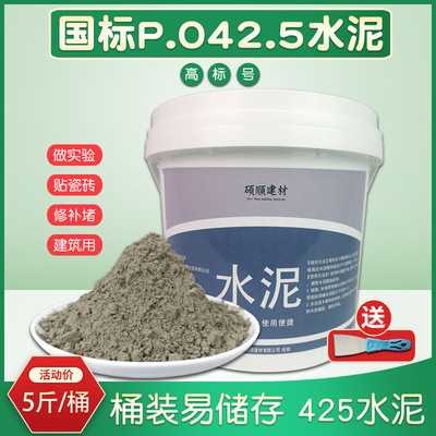 Ordinary silicate po42.5 cement University experiment National standard 425 cement landscape Loophole Quick-drying Drum