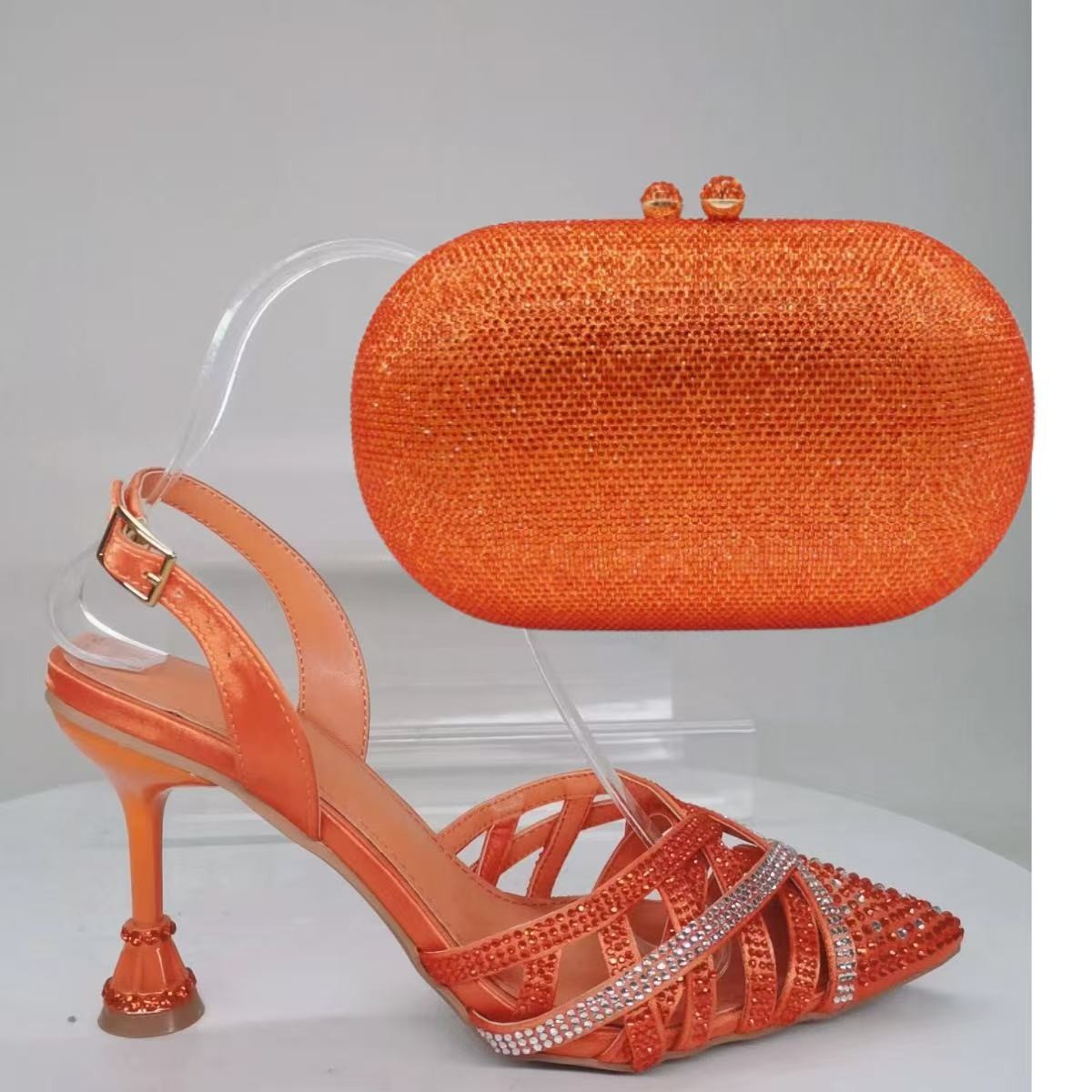 Set of Accessible Luxury Shoes and Bags for Women