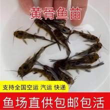 �s���S���~���S��~���S�����~���S���~�S���л��~����ˮ��ˮ�Bֳ