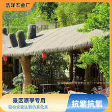 �羳��������é������� ����@�ֹ�������é�ݵ�̺ ���ϻ�����ɫ