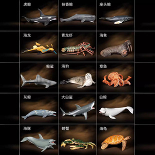 ���ĺ�����������������~��ͯģ�ͷ����L�~3���L���4�~�ה[��