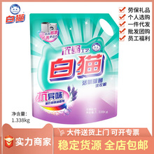 白猫活氧除菌洗衣粉浓缩工艺1.338kg 抗异味低泡易漂薰衣草精油香
