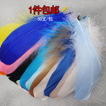 ֹcDIYɫëZëܛh Wë϶ػ