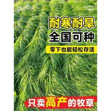 ݷNӷNݷNBֳݷNuţ~ݷNļ