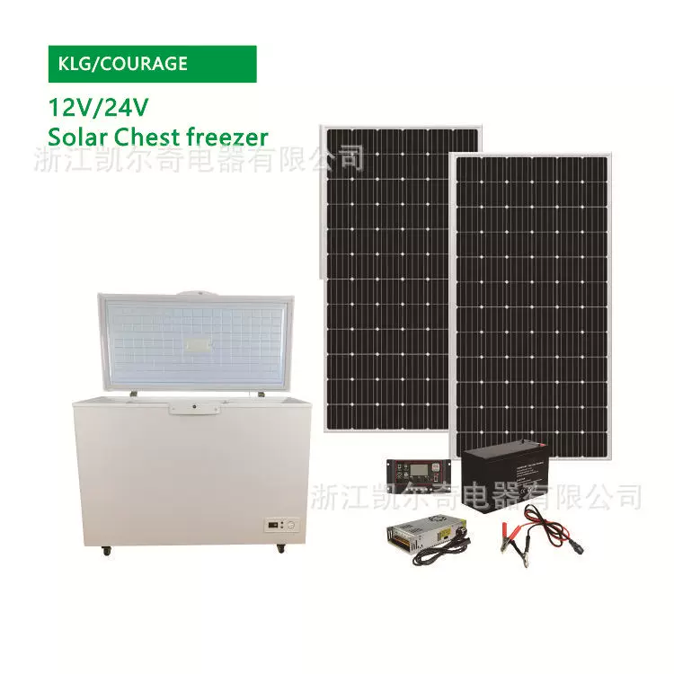 冷柜Chest Freezer BD-308DC 12V 直流冷柜 家用卧式柜