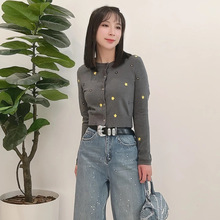 RVOӋᘿ_Ů 2025괺pɫСëAI