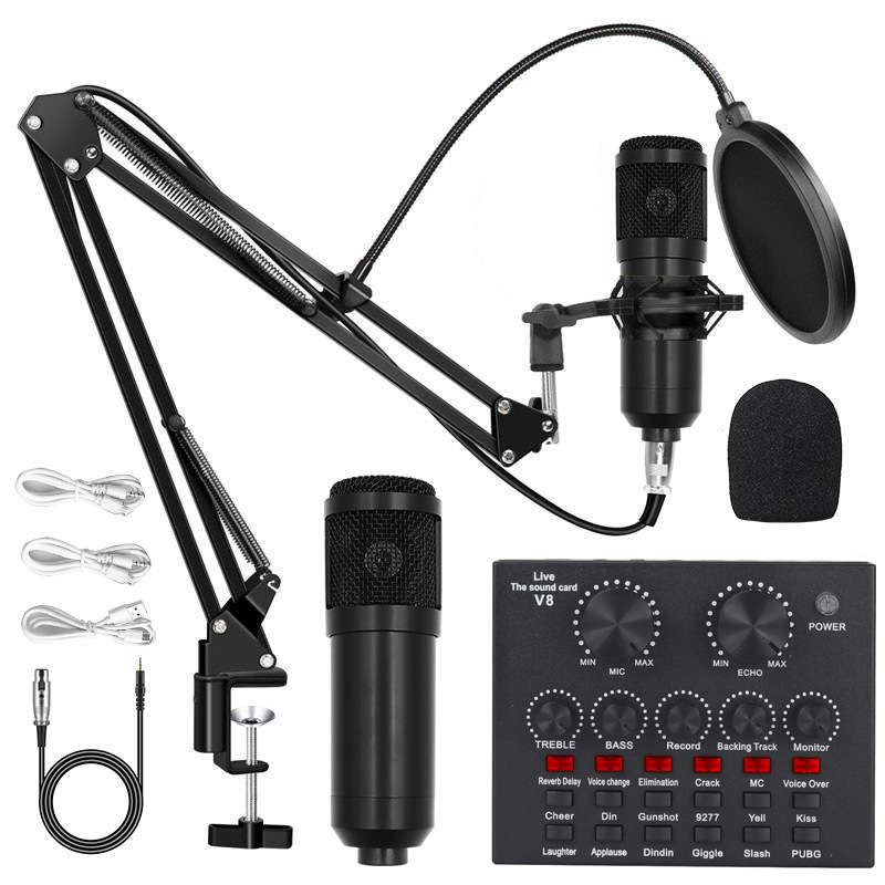 Cross-Border Bm800 Condenser Microphone V8 Mobile Phone English Sound Card Computer USB Cantilever Bracket Live Broadcast Set