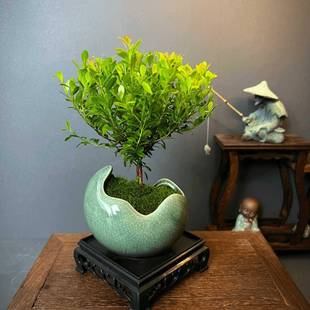 С�~��骺��մ����҃��_���Gֲ������������