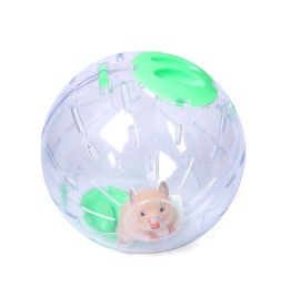 Hamster Golden Bear Sports Ball Running Ball Run