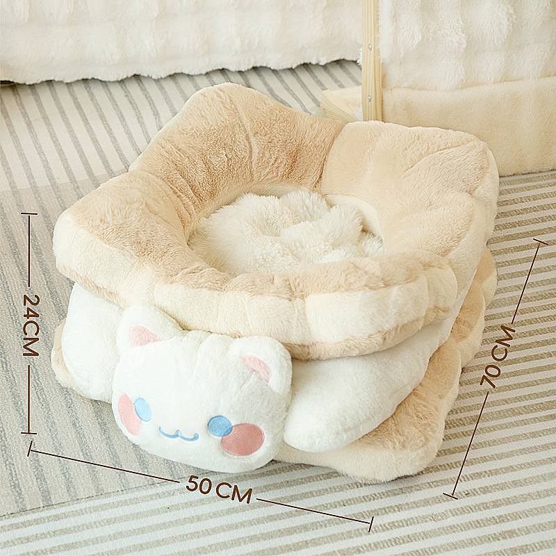 (Enlace exclusivo 2 - 3)