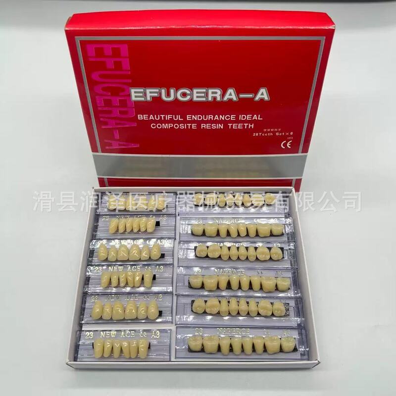 树脂牙一口牙科口腔材料教学模具用假牙学生练习牙塑料牙模型|undefined