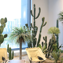 ���ͷ��������Ƴ���ɳĮֲ��Ħ���������ī�����삐����������