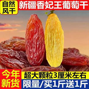 �½����������Ѹ��خa�������������t�G�������Ѹ���؛�o�����Ӹ�