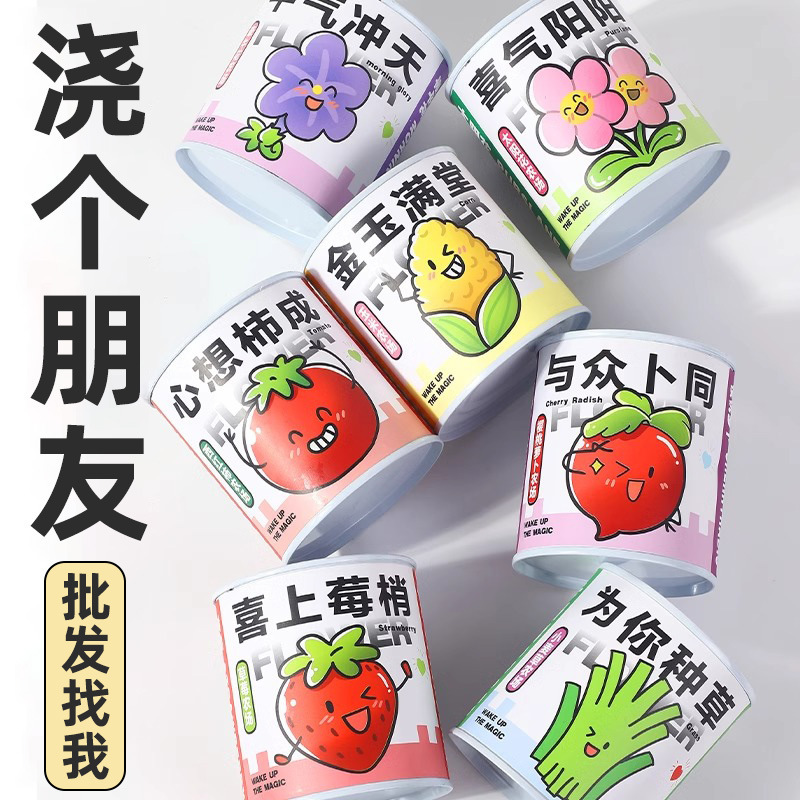 Canned Plant Potted Seeds Mini Vegetable Fruit Flower Blind Box Children's Day Canned Custom Small Gift