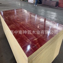 VBģľ幤üt Slľĳߴ׼