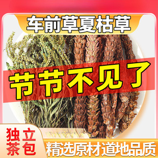 ܇ǰ���Ŀݲݲ�ĽM��܇ǰ�ݴ��ѹ�Ӣ�ݽ���ؐĸ��ˮ�Ȳ�