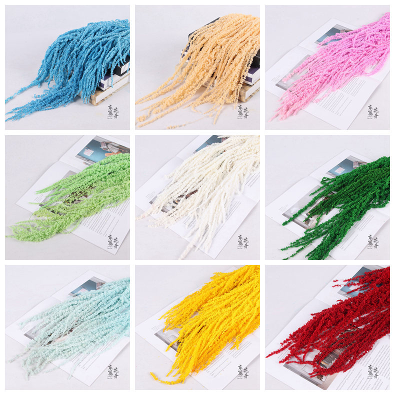 Arroz colgante de vida eterna, flores colgantes de Roulisi, flores reales, flores perpetuas, arreglos florales de boda, decoración de paredes, flores secas tridimensionales al por mayor