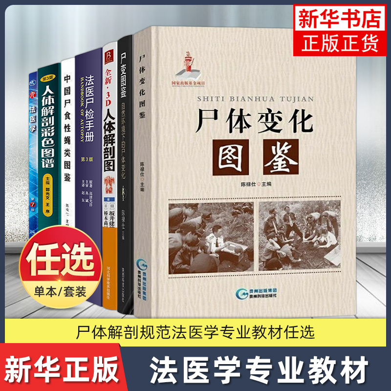 Optional Corpse Change Illustration Corpse Change Illustration Corpse Change in Natural Environment Chen Lu Shi Forensic Medicine