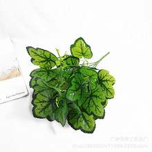 A羳Gֲ^z~fֲb滨