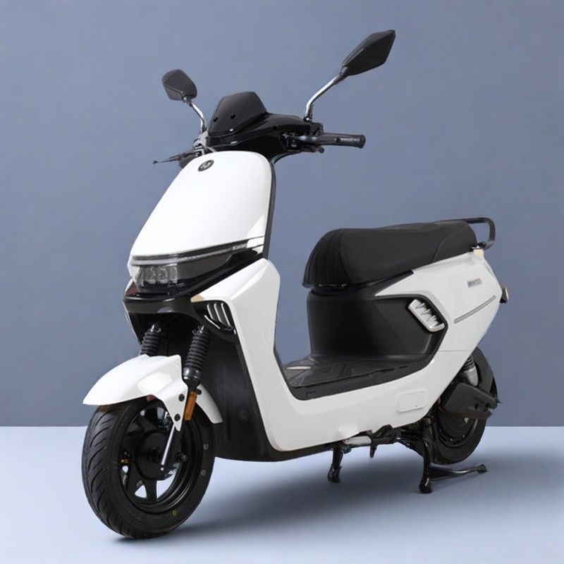 Motuoche X9 Electric Vehicle 72V Electric Motorcycle Long Range (Auto Parts and Accessories) - white-smart-screen-nfc-gift-60v-5-battery-215ah-lead-acid