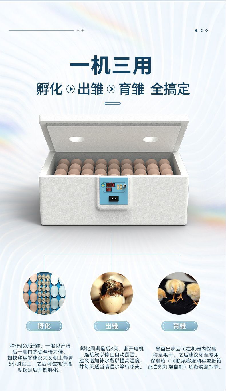 e25c5085-8dda-4b13-bed7-c7abb60edcc0.jpe