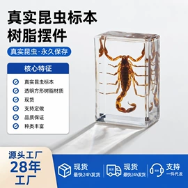 树脂工艺品;钥匙扣及钥匙扣配件;标本