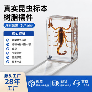 �挍���x�˱���֬�[��ϐ���@��ϐ������������x�˱����^�o��Ʒ