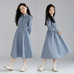 Girls' Dress with Long Sleeve, Princess Style, 2023 New Arrival