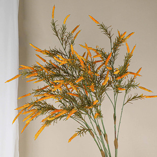 �������K�ݹ�β����β�ݱ��W�Ҿ��b�ֲ����ɫ�zӰ���߈�������