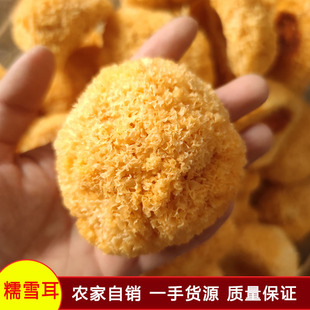 Ŵѩ�����l�����r�aƷ�y����ľ�� ��؛�خa������