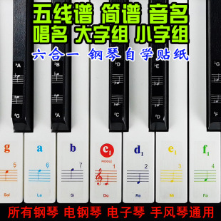 Piano Keyboard Sticker for Electric Piano Electronic Keys Sticker for Color Offset Printing 88 Key Musical Notes