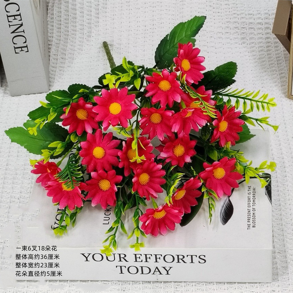 큰 데이지 순수 로즈 레드
