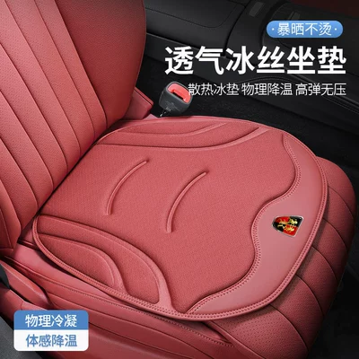 Four Seasons Pad: Roewe RX5/RX8/i5 car plush