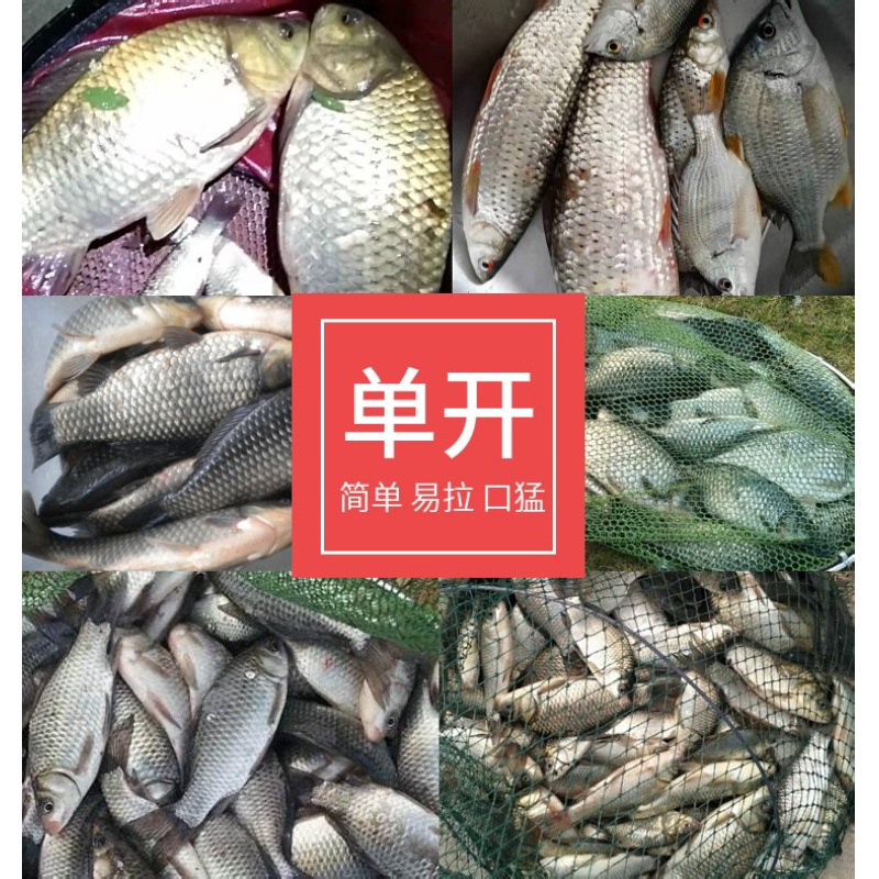 12336990447_970978692