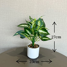 Gֲ[O͏dbƷ̈Ƶb[ٻ