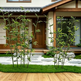 ����Gֲ��������ʯ�^�쾰�b��҃�ܛ�b����Ƶ�[���Gֲ�������L