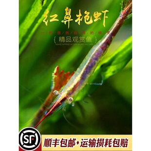 �t���Ә��rС�͵�ˮ�^�p�������r�ݸ�ӡ��Ꭷ�坍���幤���r���^