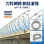 隔离铁路防护监狱刺丝