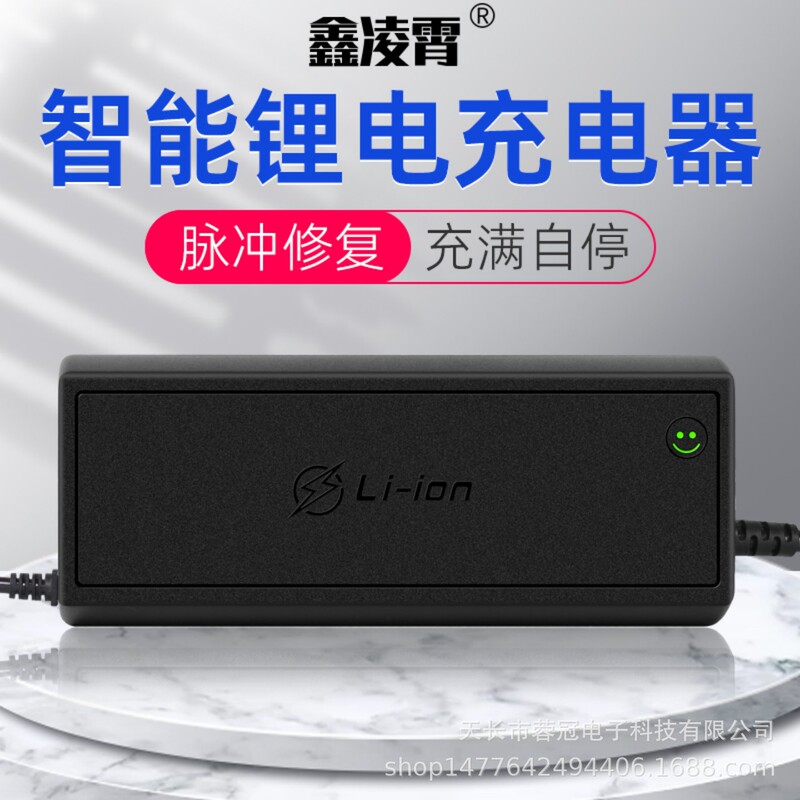 Lithium Battery Charger Outdoor Mobile Power Supply Large Capacity 29.4V24V20A30A Bed Car Rv Energy Storage Power Supply
