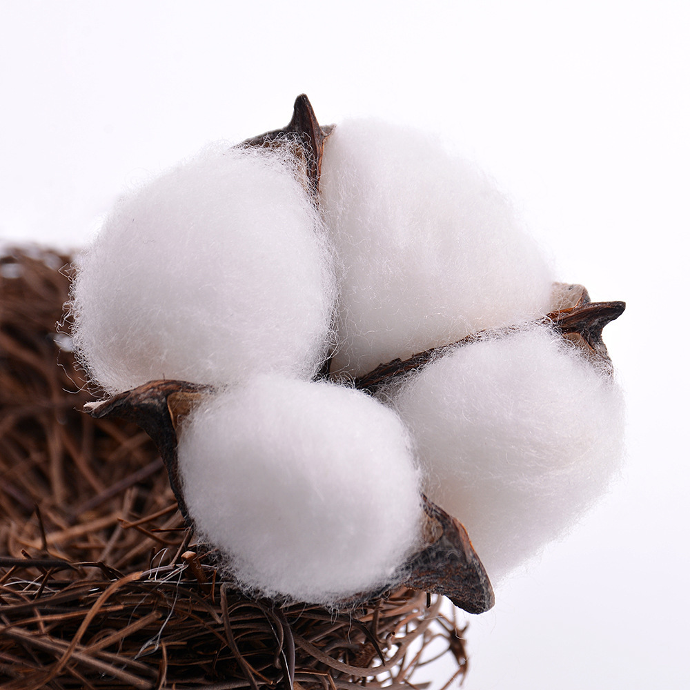 Cabeza de flor de algodón (50 pcs/bag)