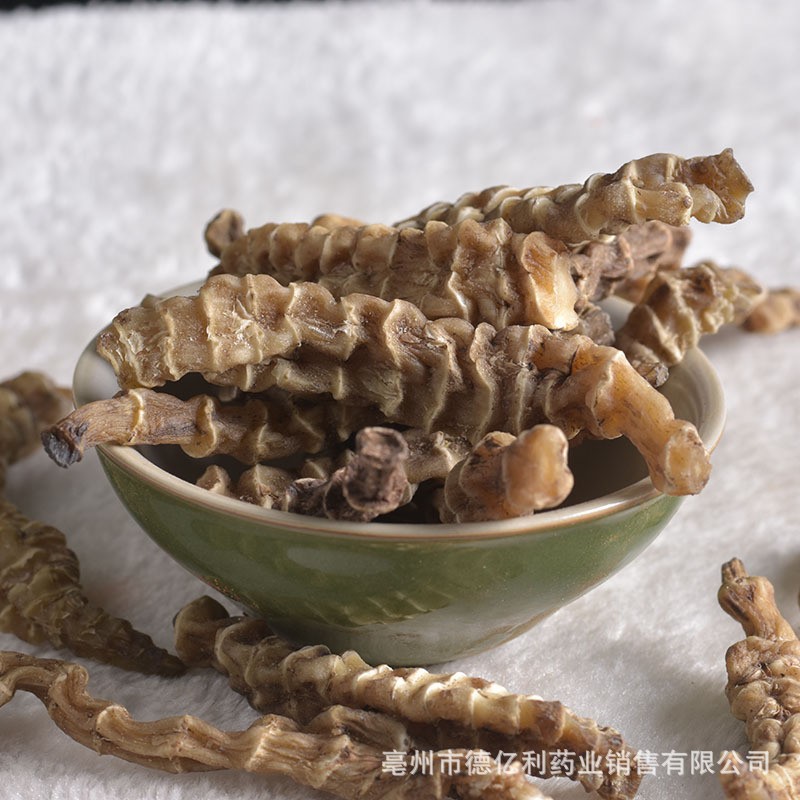 中药材批发 地参 虫草参 跑江湖展会产品大全 一件代发