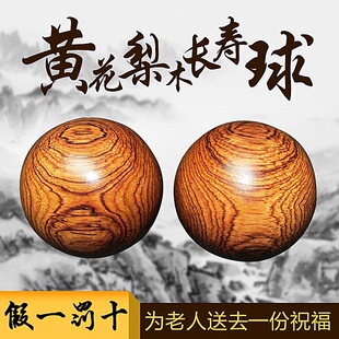 �S���挍ľ�����������������˱������ֲ���Ħ�����D������