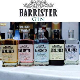 ����˹�ض����Ӿƶ��ζ���GIN�پ��{����ƶ��_˹ԭ�b�M�����