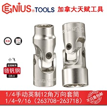 GENIUS���x�ք�12���f����Ͳ���ֹ���Ӣ�ƻ�����Dʮ�����f��