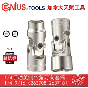 GENIUS���x�ք�12���f����Ͳ���ֹ���Ӣ�ƻ�����Dʮ�����f��